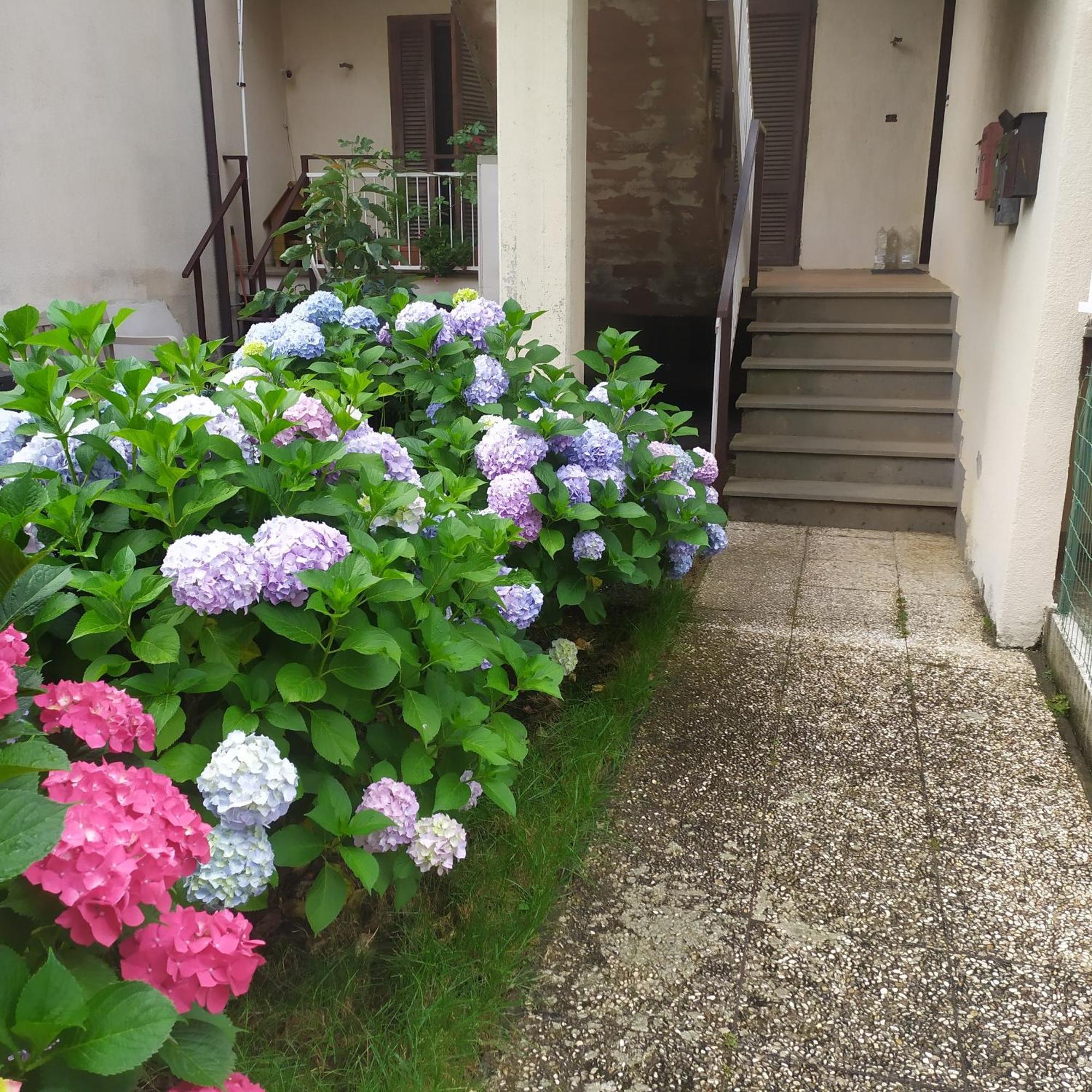 Apartment Santa Maria บอลเซนา ภายนอก รูปภาพ